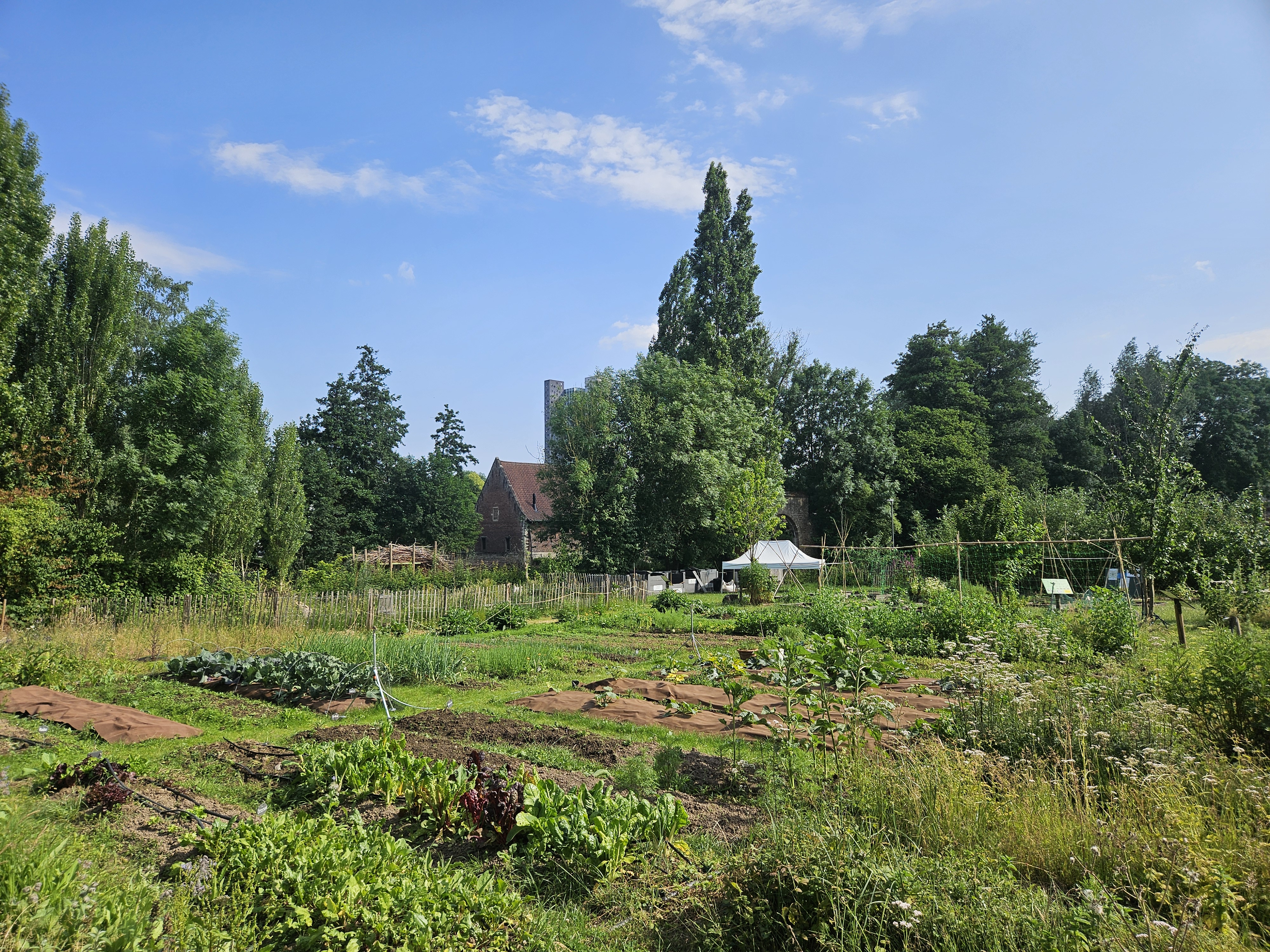 les jardins pédagogiques