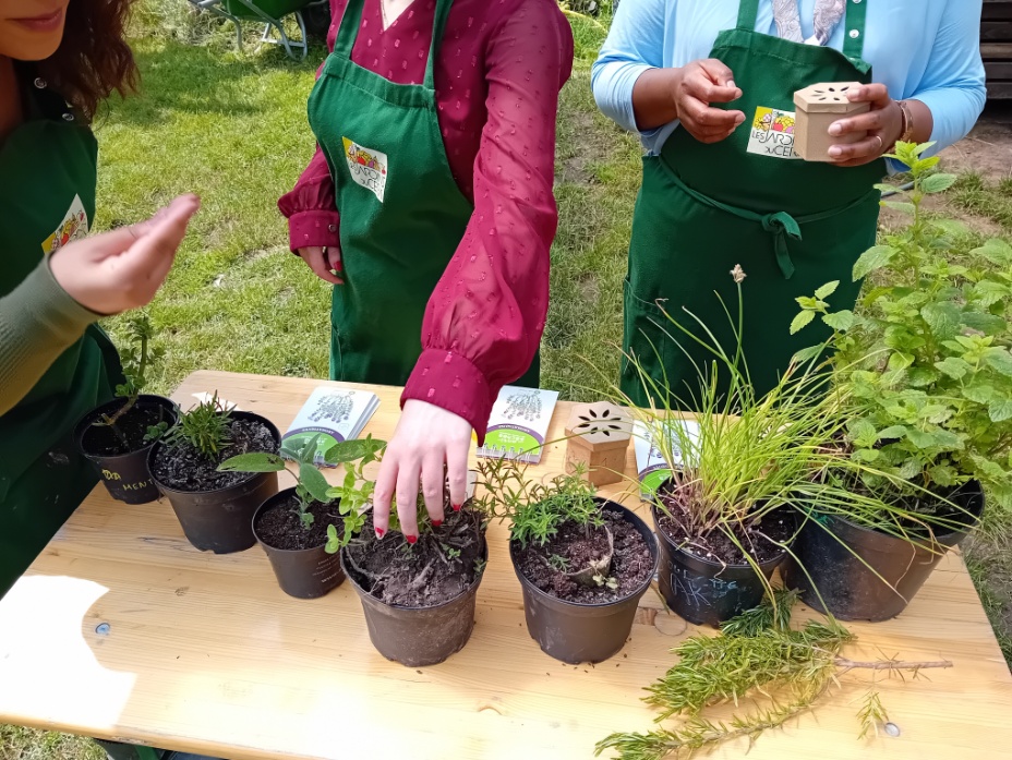animation aux jardins pédagogiques